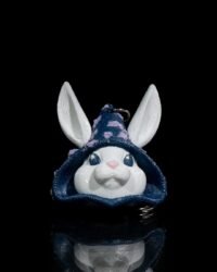 Wizard Bunny