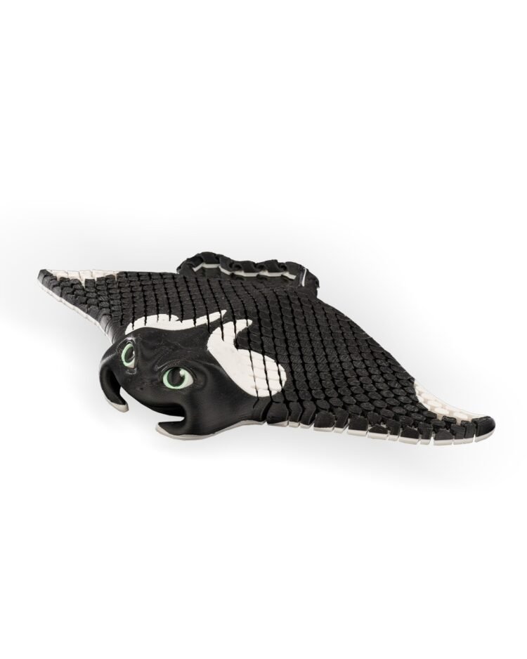 Manny The Manta Ray