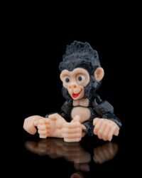 Baby Gorilla