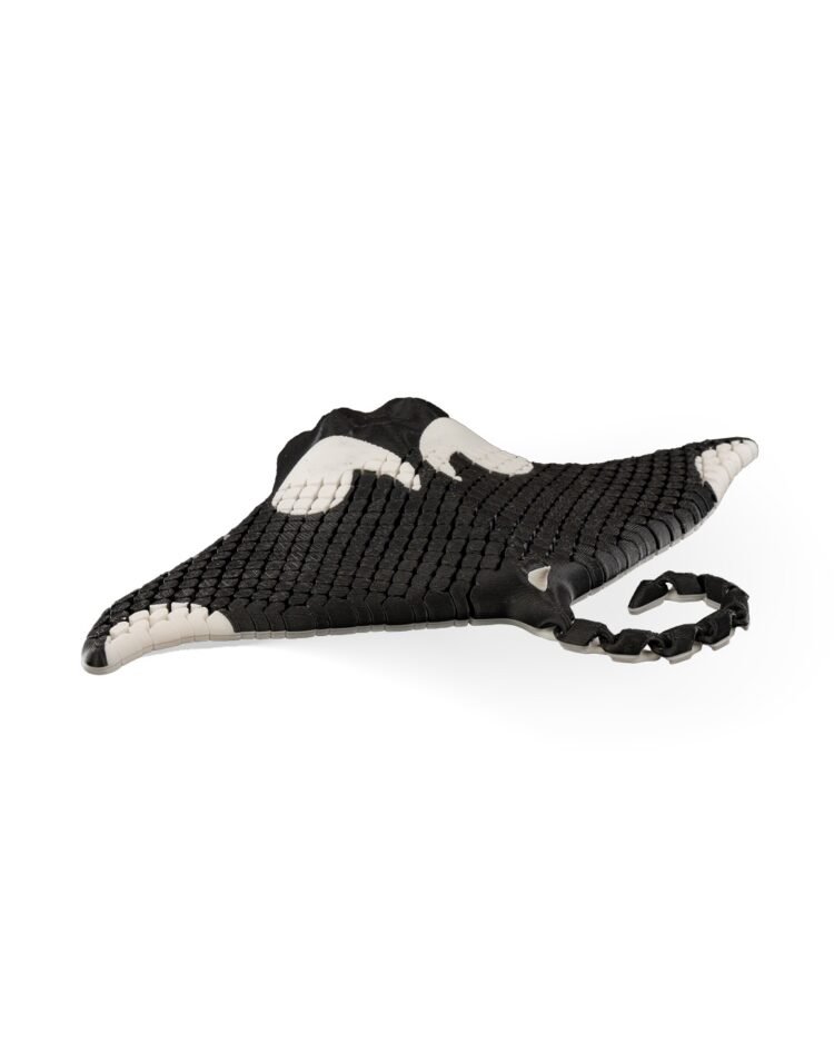 Manny The Manta Ray - Image 3