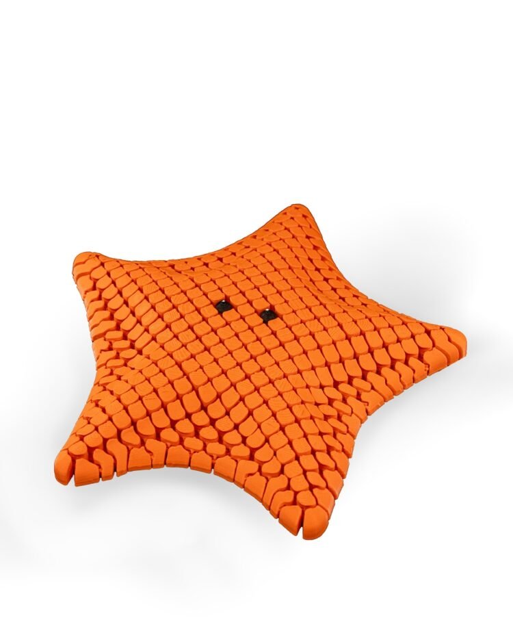 Betsie Bat Sea Star - Image 3