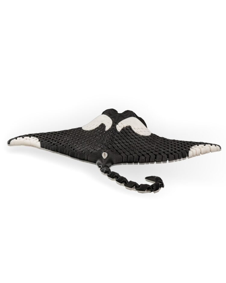 Manny The Manta Ray - Image 4