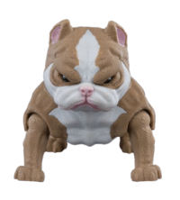 American Bully