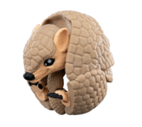 Armadillo