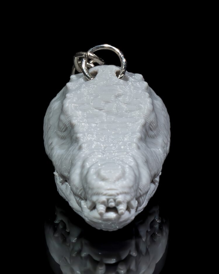 Crocodile - Image 2