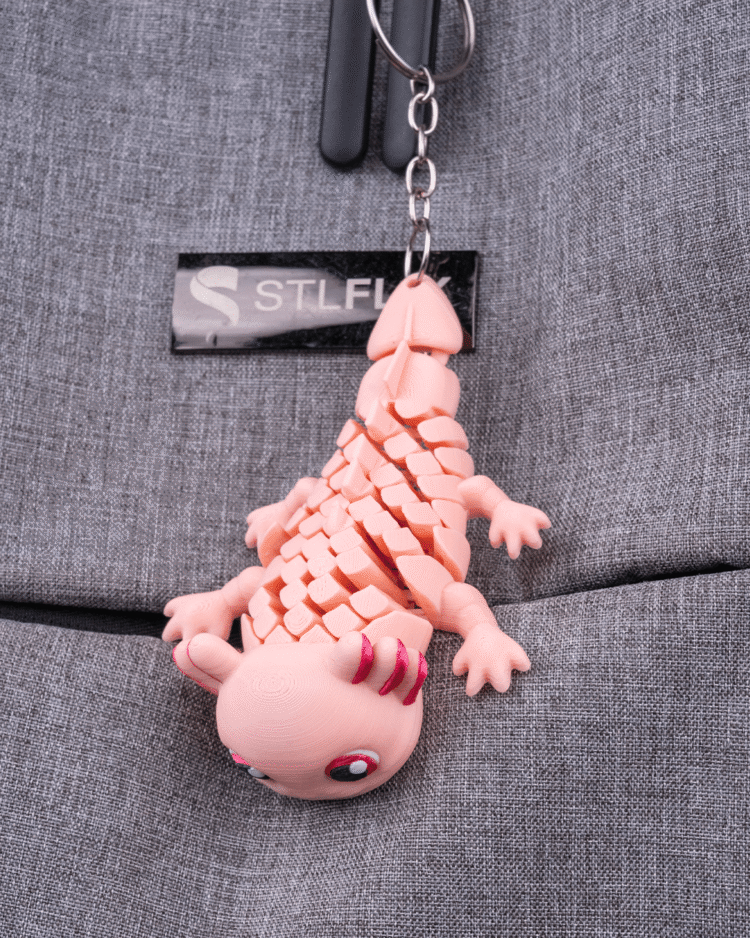Ashley, the Axolotl - Image 6