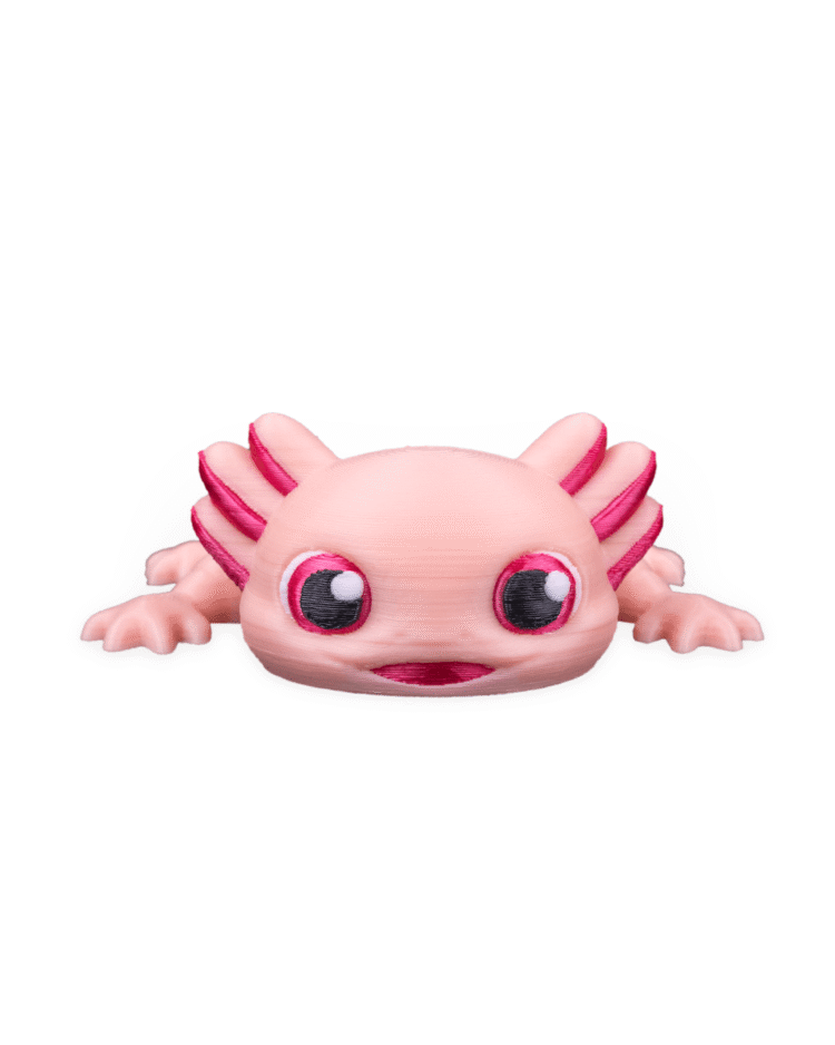 Ashley, the Axolotl - Image 2