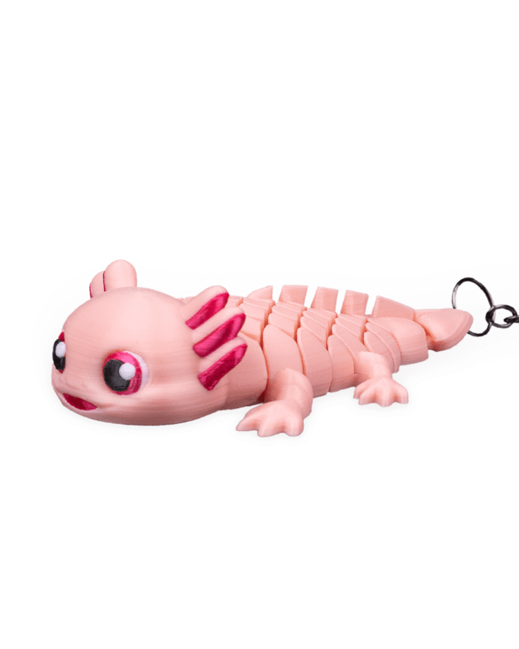 Ashley, the Axolotl - Image 3