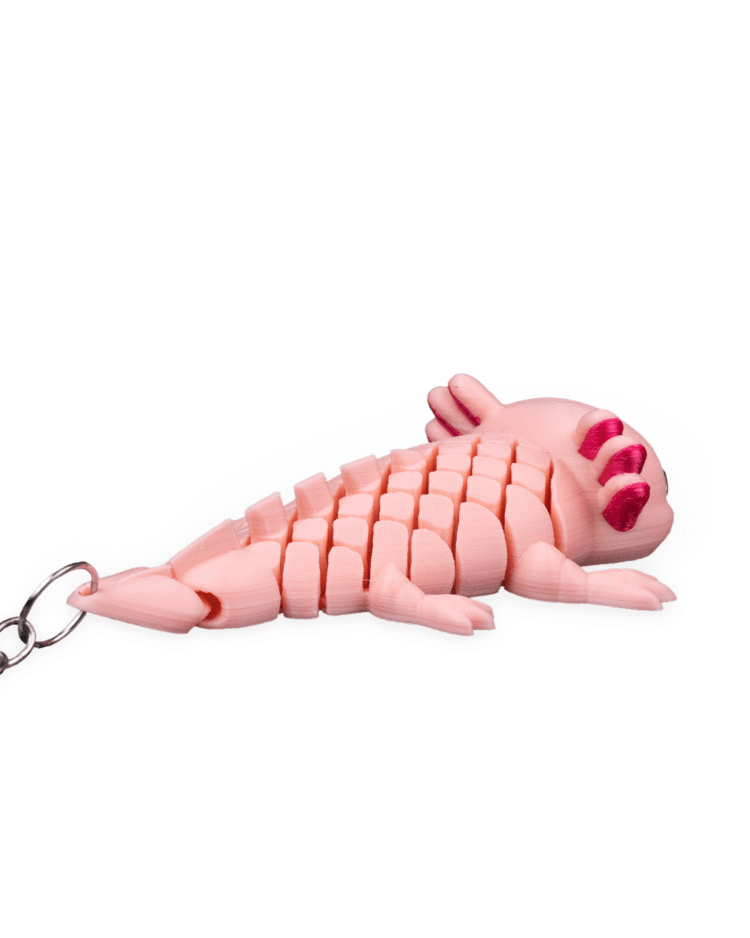 Ashley, the Axolotl - Image 5