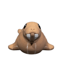 Atlantic Walrus