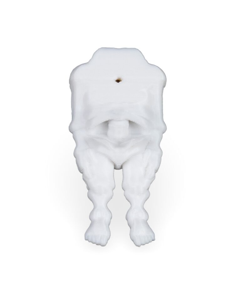 Bone to be worn - Image 4