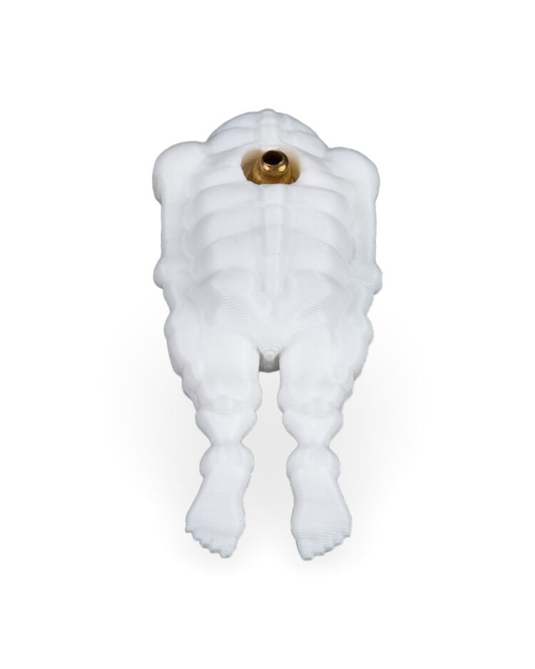 Bone to be worn - Image 3