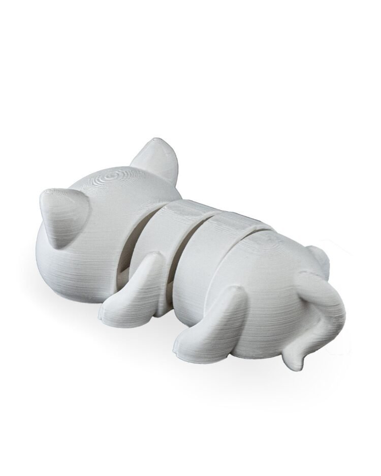 Cat - Image 3