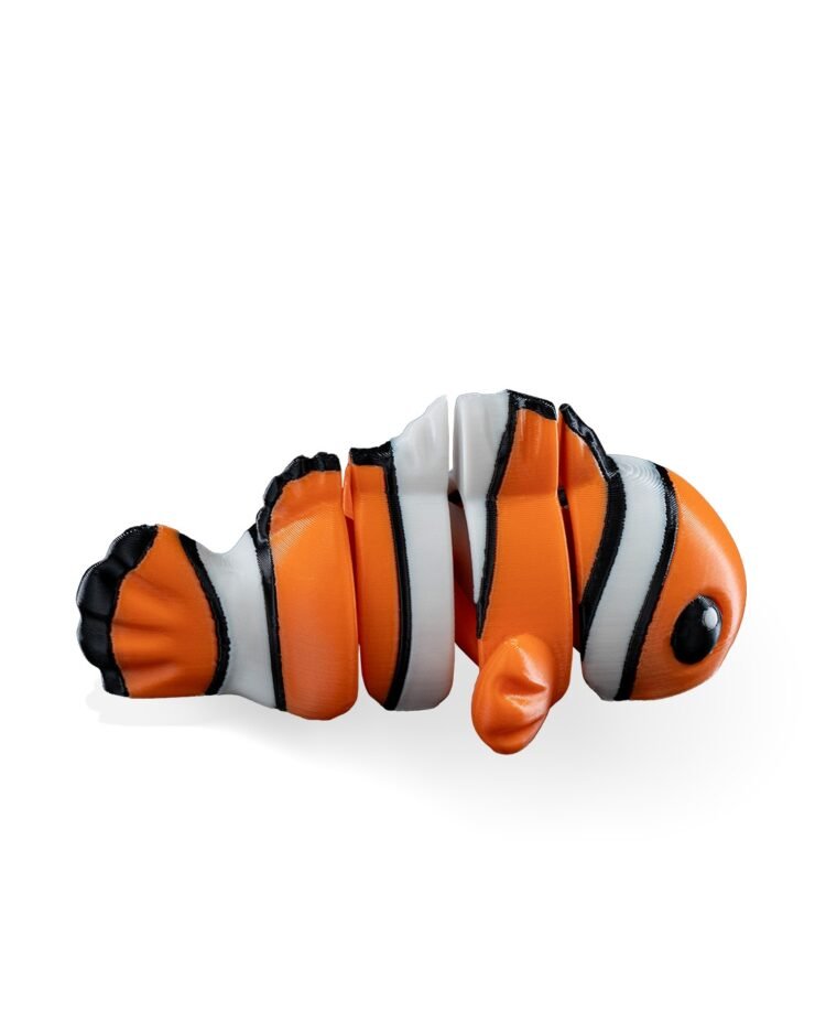 Clownfish - Image 3