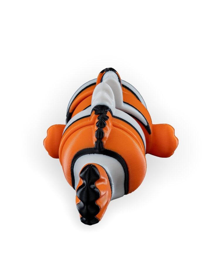 Clownfish - Image 4