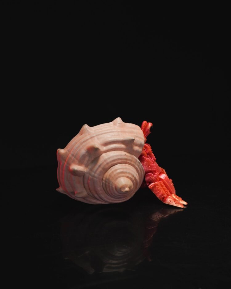 Articulated Hermes, the Hermit Crab (Crab and Shell) - Image 2