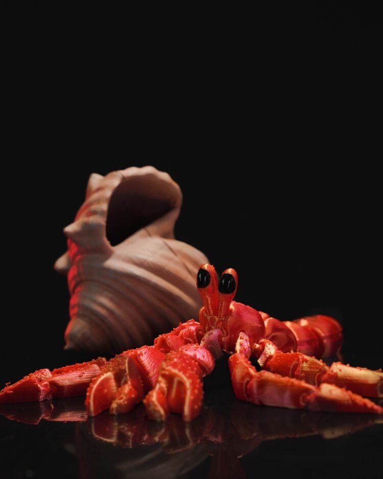 Articulated Hermes, the Hermit Crab (Crab and Shell) - Image 3