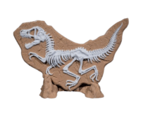 Dino Evidence