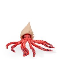 Finn Bigfin Squid