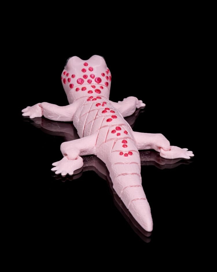 Gecko - Image 5
