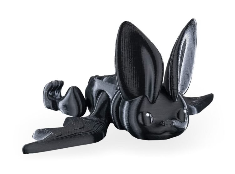 Glider Bat