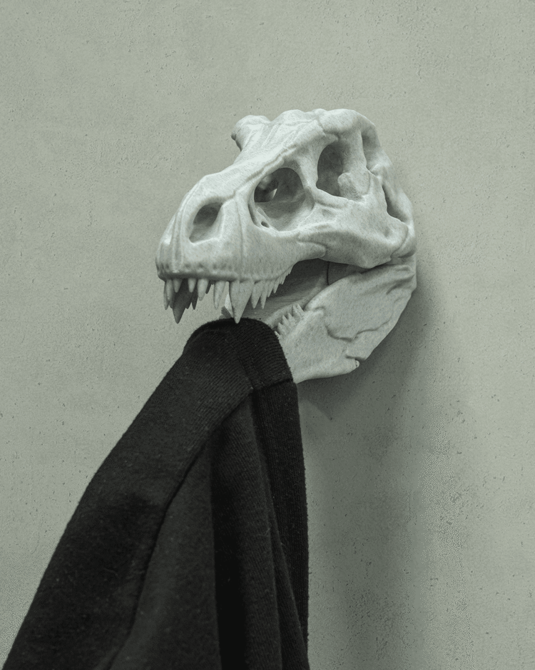 Hold my Coat-Rex - Image 4