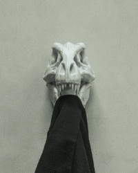 Hold my Coat-Rex