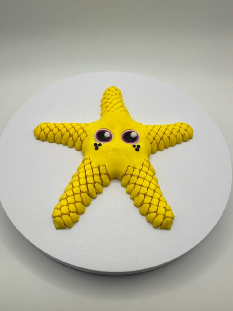 Sandy The Sea Star - Image 2