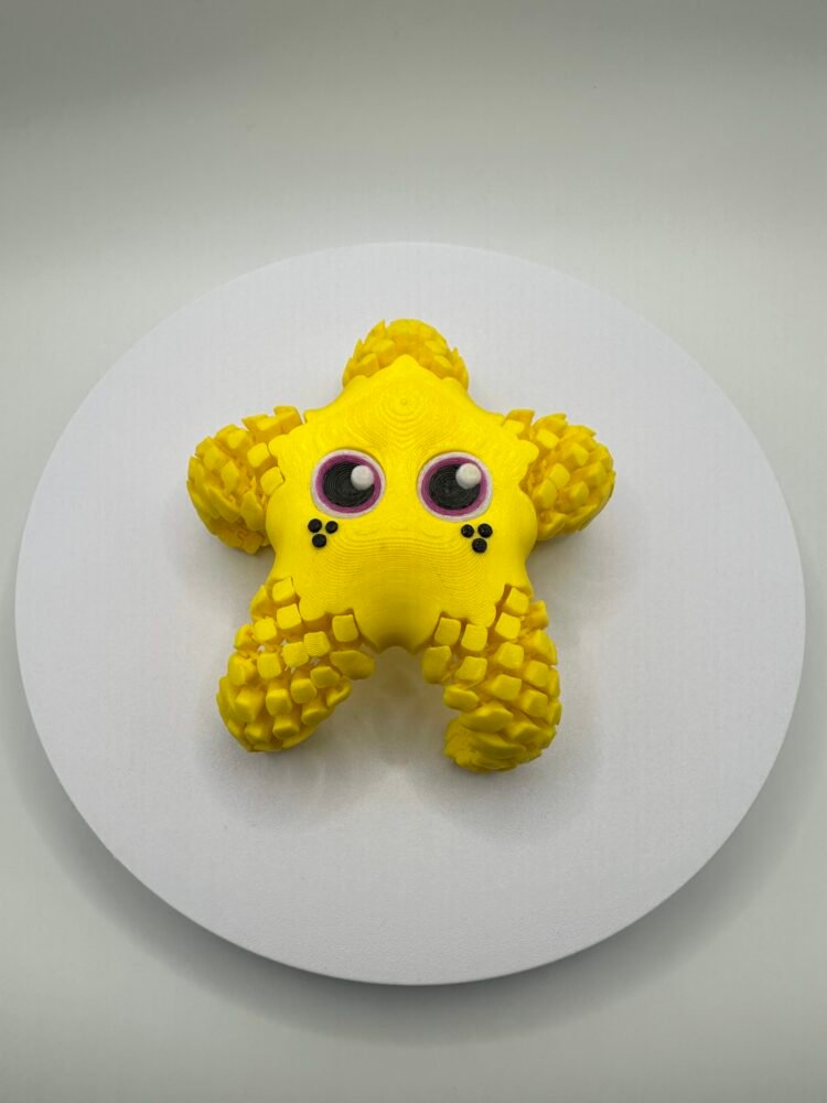Sandy The Sea Star - Image 3