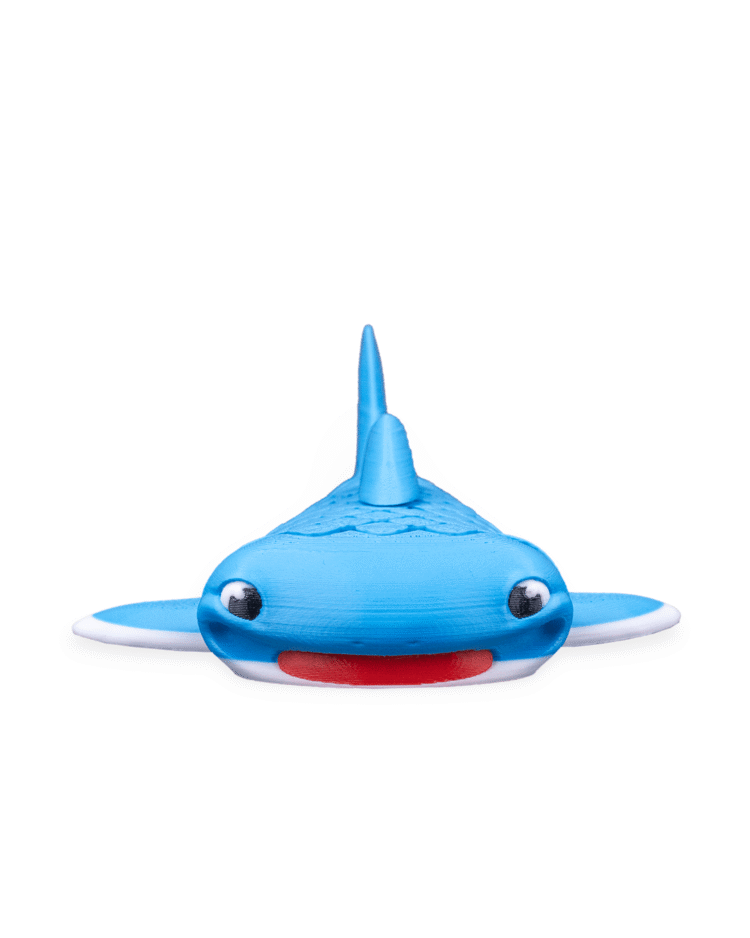 Mark, the Whale Shark - Image 2