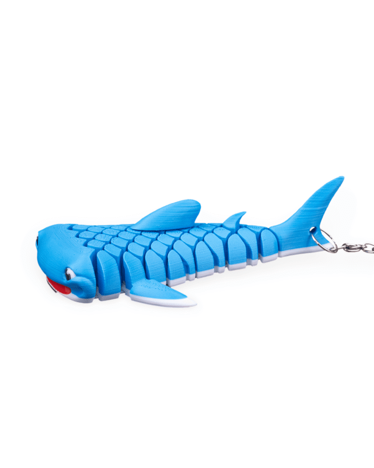 Mark, the Whale Shark - Image 3