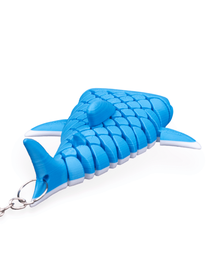 Mark, the Whale Shark - Image 4