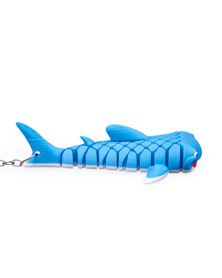 Mark, the Whale Shark - Image 5