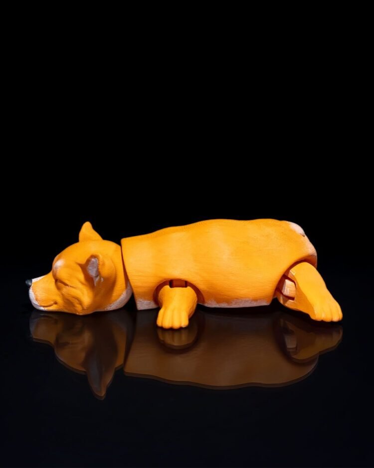 Pembroke Welsh Corgi - Image 3