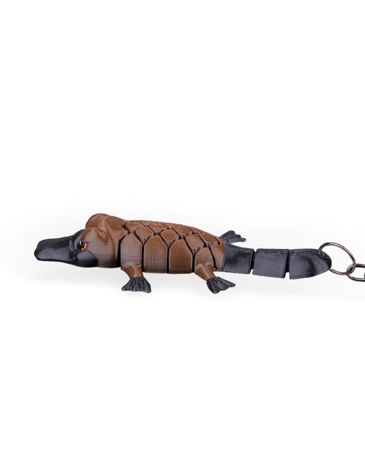 Pierre, the Platypus - Image 2