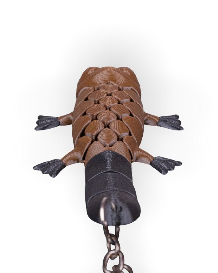Pierre, the Platypus - Image 3