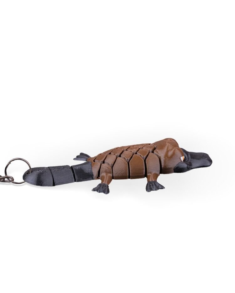 Pierre, the Platypus - Image 4
