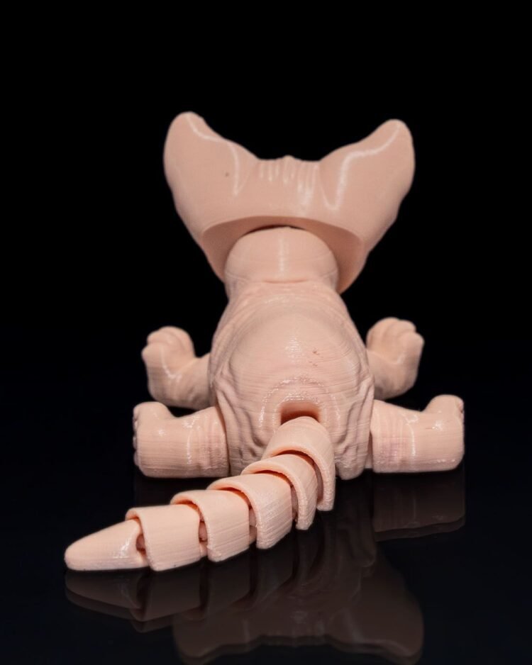 Sphynx Cat - Image 4