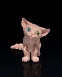 Sphynx Cat