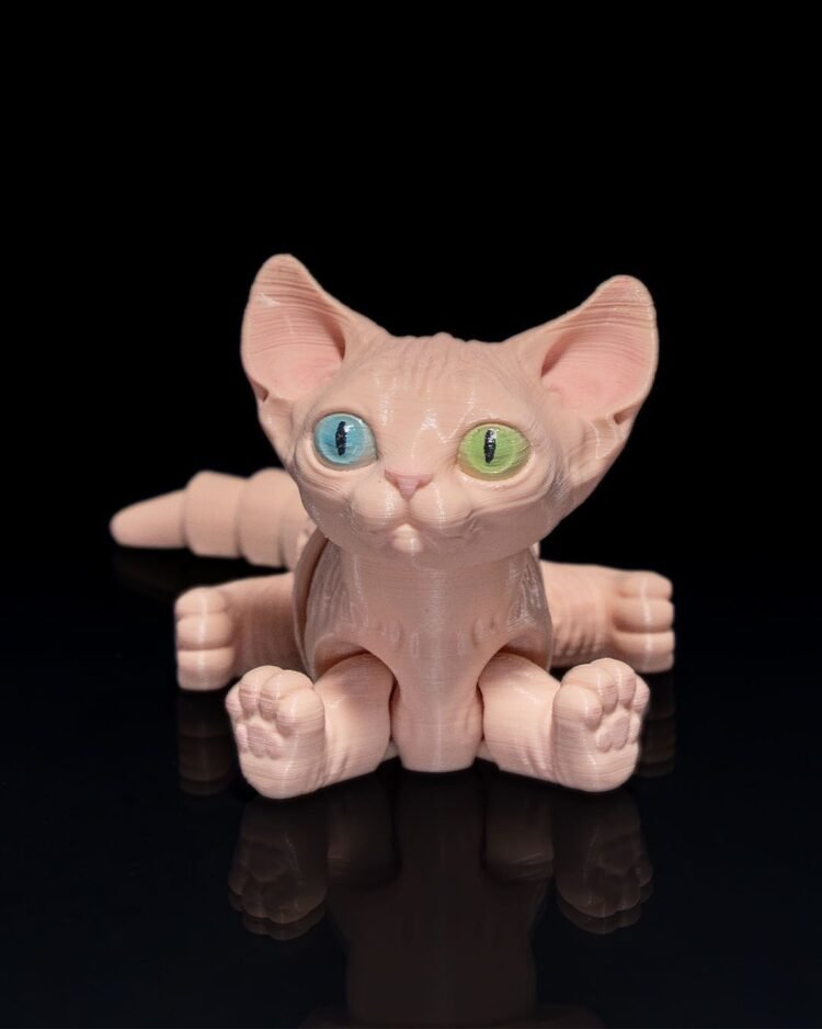 Sphynx Cat - Image 2