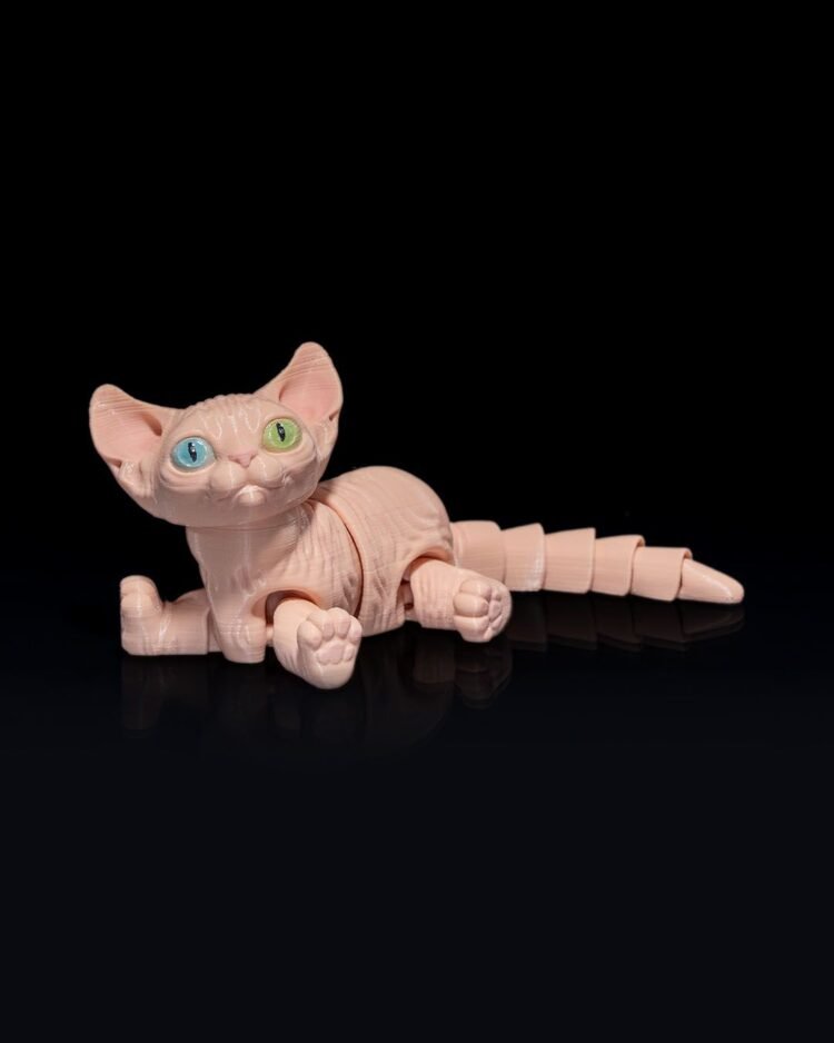 Sphynx Cat - Image 3
