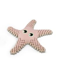 Sandy The Sea Star