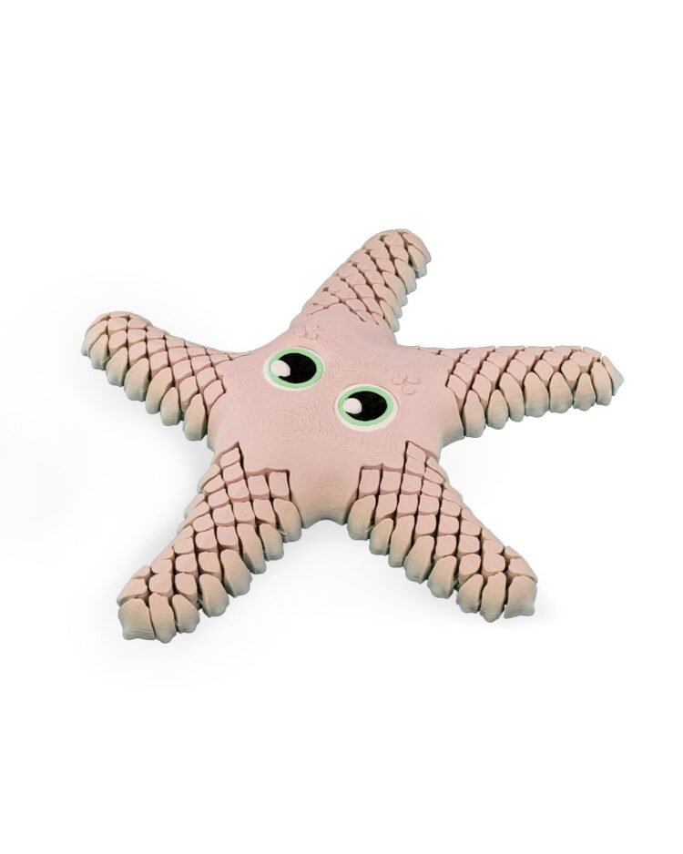 Sandy The Sea Star