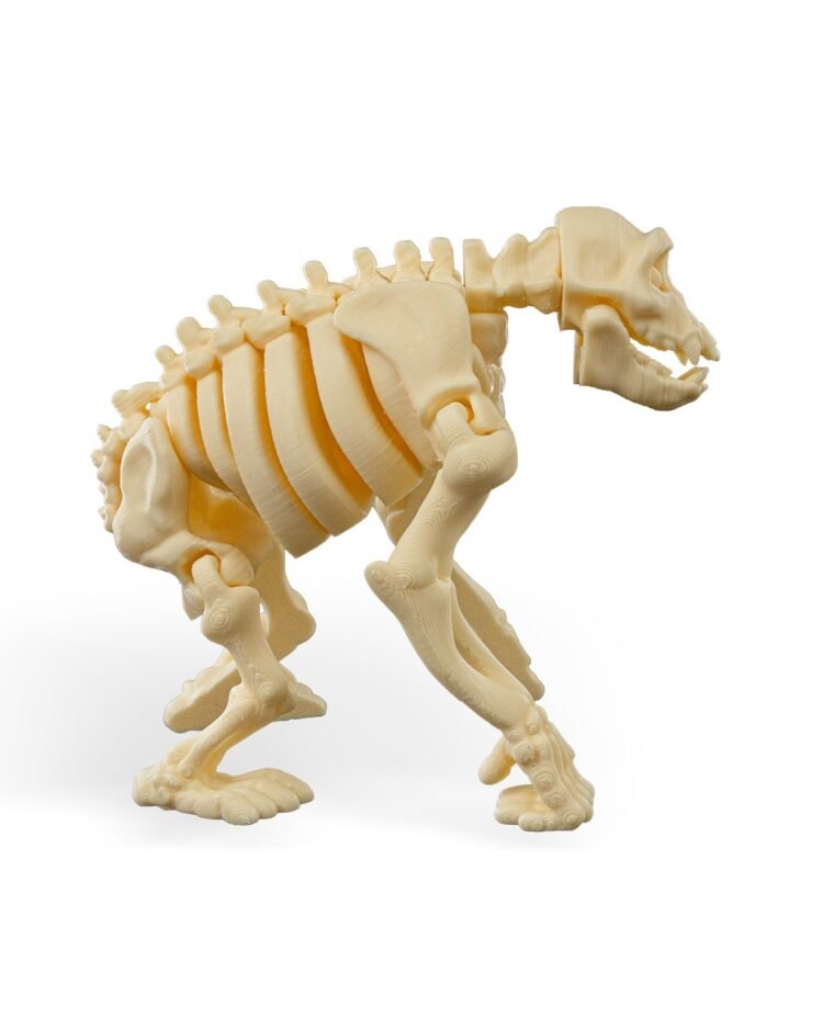 Skeleton Chimp - Image 3