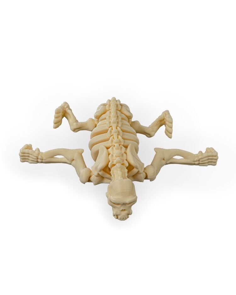 Skeleton Chimp - Image 2
