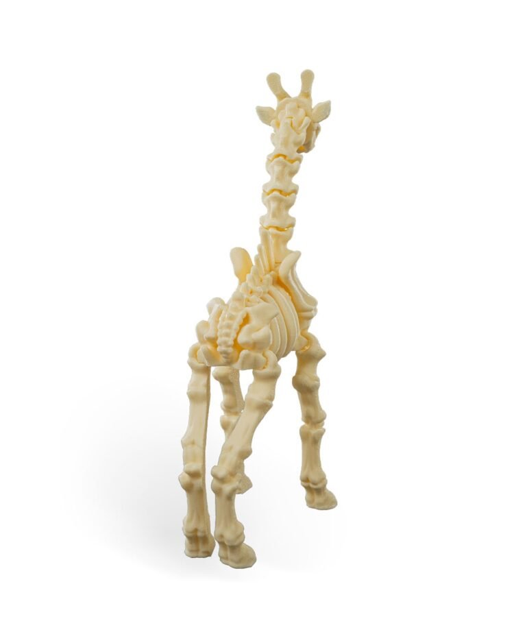 Skeleton Giraffe - Image 3
