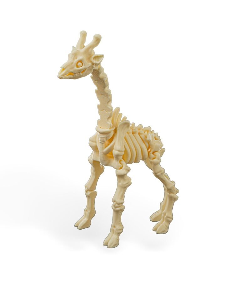 Skeleton Giraffe - Image 4