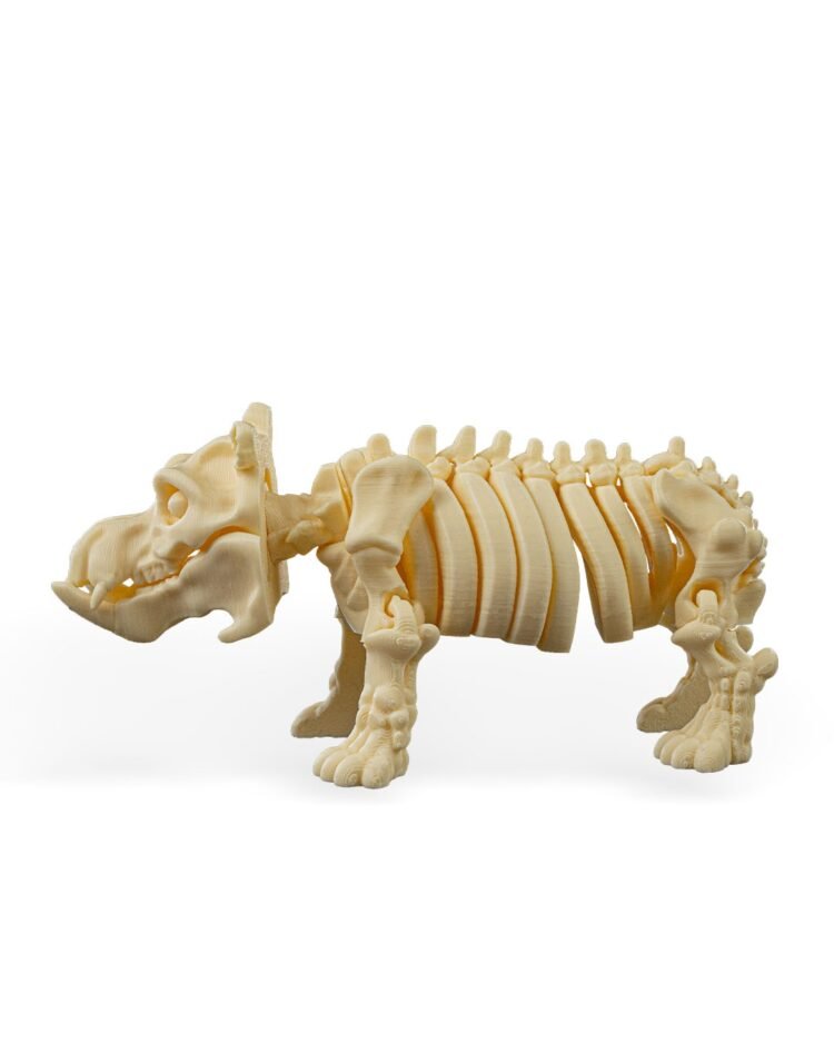 Skeleton Hippo - Image 3