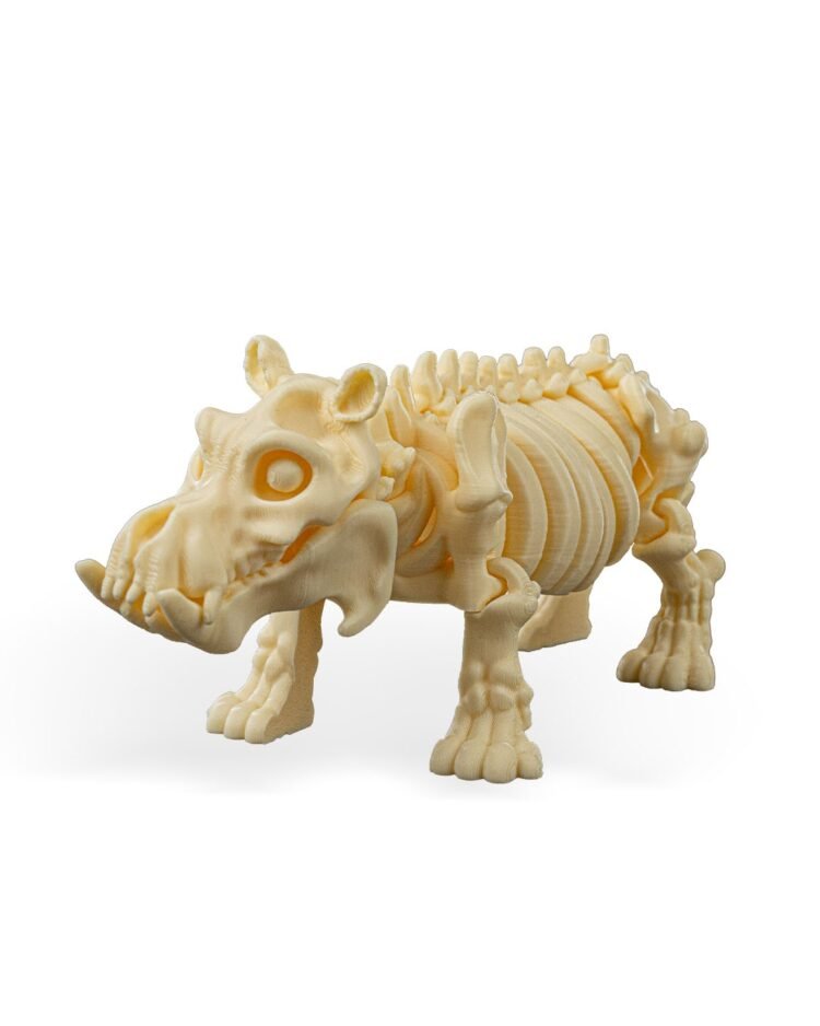 Skeleton Hippo - Image 4