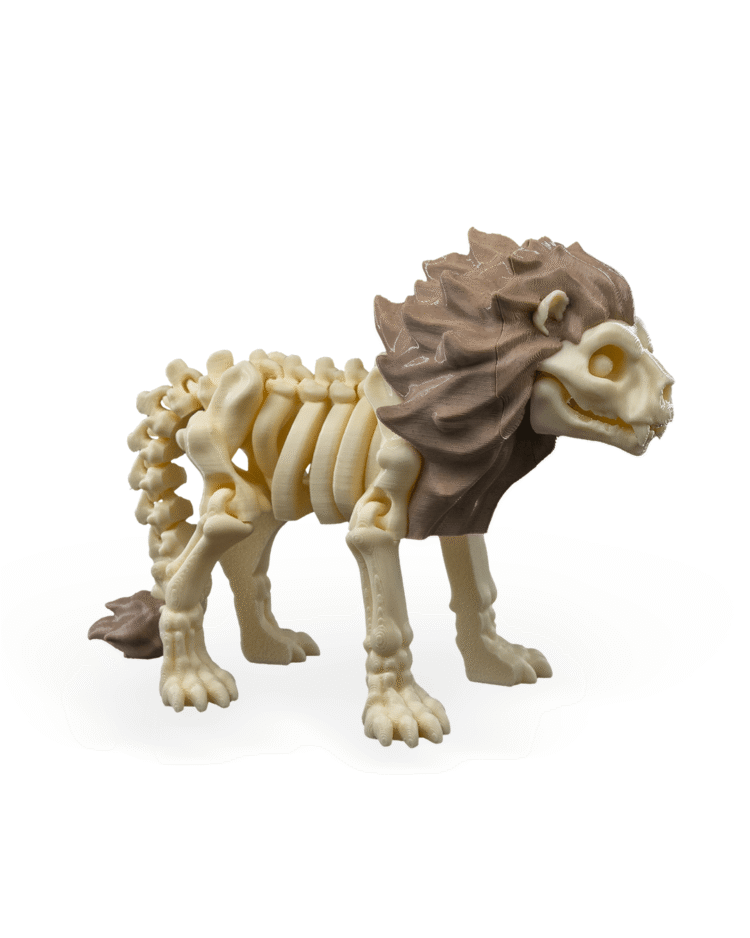 Skeleton Lion - Image 2